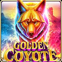 Golden Coyote